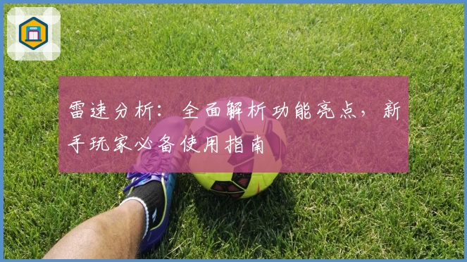 雷速分析：全面解析功能亮点，新手玩家必备使用指南