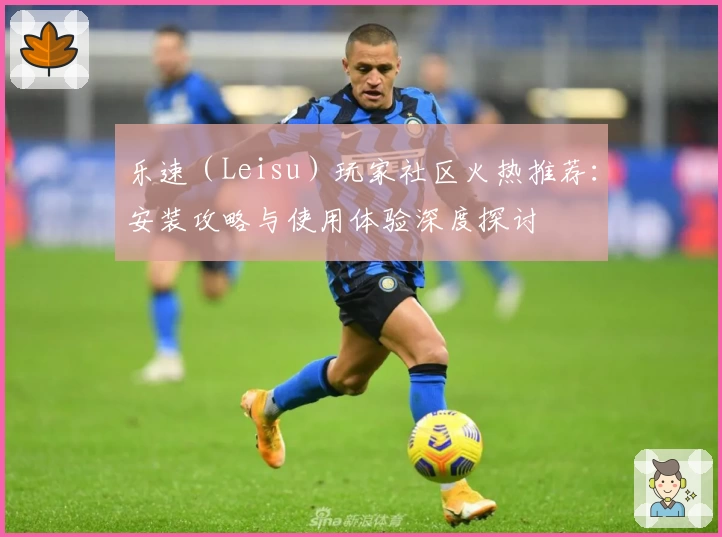 乐速（Leisu）玩家社区火热推荐：安装攻略与使用体验深度探讨