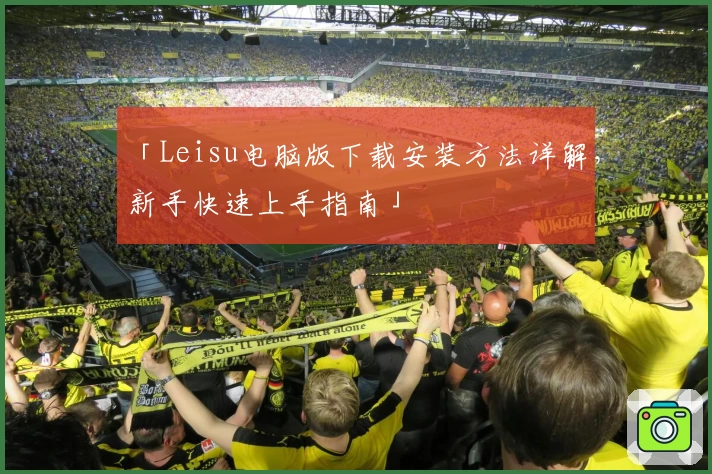 「Leisu电脑版下载安装方法详解，新手快速上手指南」