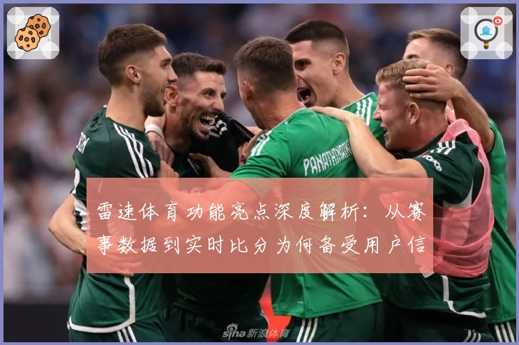 雷速体育功能亮点深度解析：从赛事数据到实时比分为何备受用户信赖