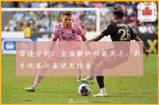 雷速分析：全面解析功能亮点，新手玩家必备使用指南