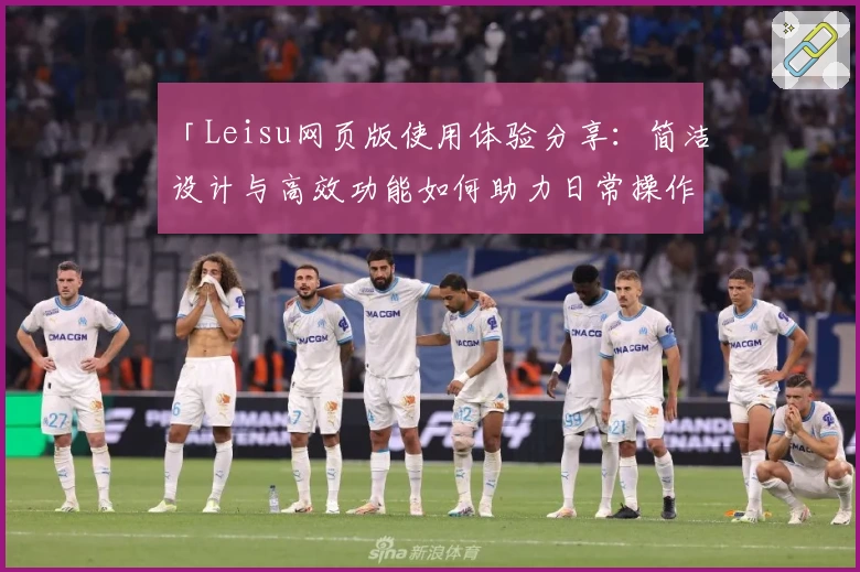 「Leisu网页版使用体验分享：简洁设计与高效功能如何助力日常操作」