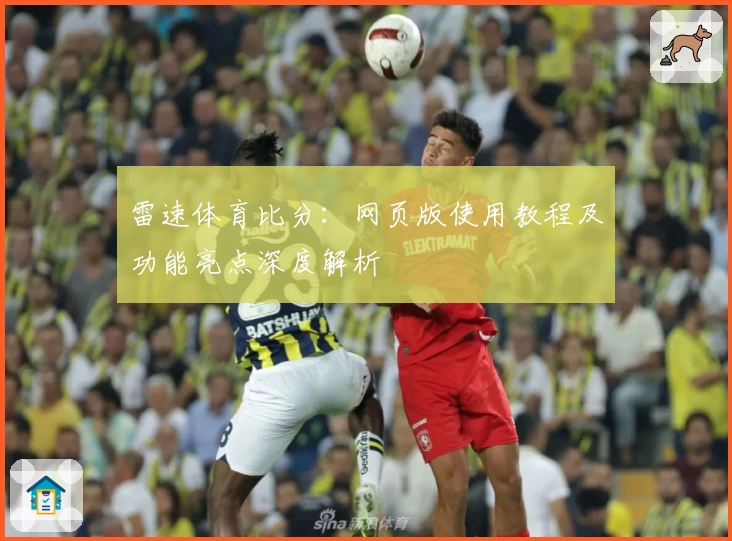 雷速体育比分：网页版使用教程及功能亮点深度解析